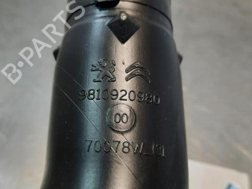 Pipe PEUGEOT 3008 II SUV (MC_, MR_, MJ_, M4_) 1.5 BlueHDi 130 | BP23579007M125 
