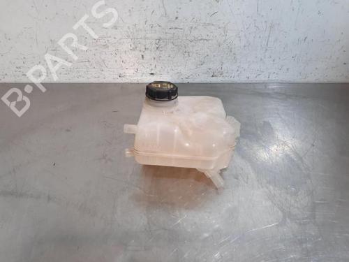 Used Expansion tank FORD TRANSIT COURIER B460 Box Body/MPV 1.5 TDCi (75 hp) 29223042