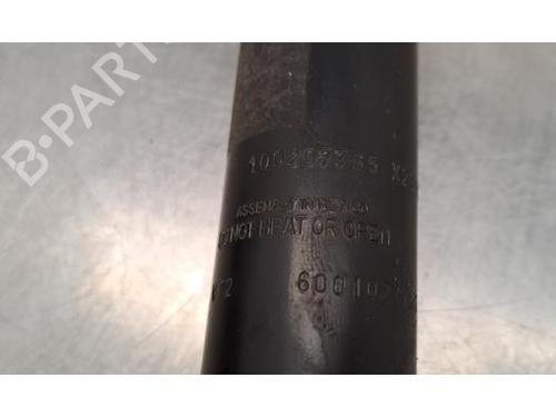 Left rear shock absorber VW TIGUAN (AD1, AX1) 1.5 TSI | BP29393331M18 