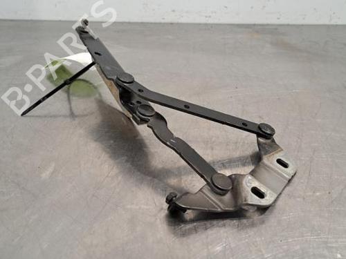Hinge/Door check strap LAND ROVER RANGE ROVER EVOQUE (L538) 2.0 D 4x4 | BP23626801C146 