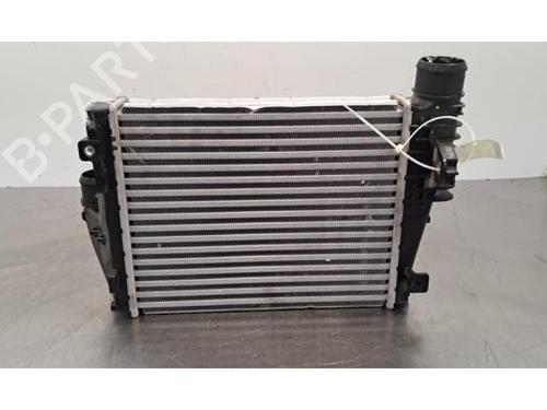 Used Intercooler PEUGEOT EXPERT Van (V_) 1.5 BlueHDi 120 (120 hp) 29600733