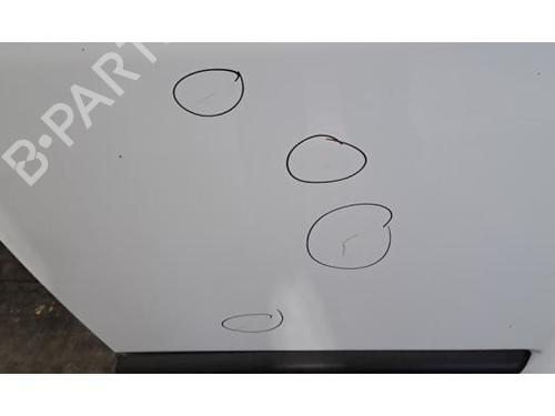 Right front door FIAT DUCATO Platform/Chassis (250_) 140 Multijet 2,2 D | BP32128689C3