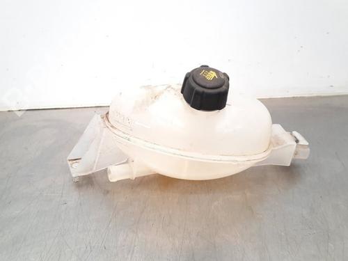 Expansion tank RENAULT MASTER III Platform/Chassis (EV, HV, UV) 2.3 dCi 145 FWD (EV0E, EV0F, HV0E, HV0F, UV0E, UV0F,... 217100015R