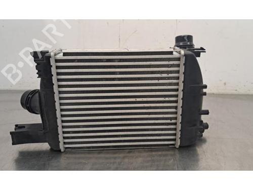 Intercooler DACIA DUSTER (HM_) 1.3 TCe 150 (HMM3) | BP30053905M30 