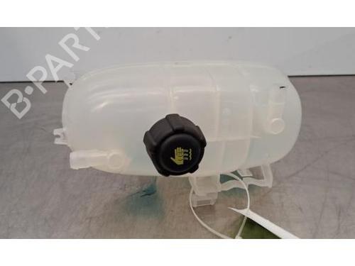 Ekspansjonstank RENAULT TRAFIC III Van (FG_) 2.0 dCi 130 (FGMY) (131 hp) 30331749