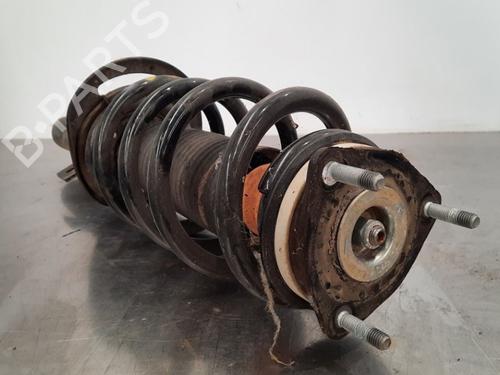 Right front shock absorber FORD TRANSIT V363 Van (FCD, FDD) 2.0 EcoBlue | BP11231761M17 