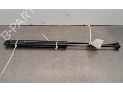 tailgate-lift-support-peugeot-308-iii-fb_-fh_-fp_-f3_-fm_-2021-30651140 main image