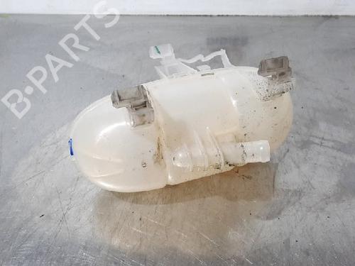 Expansion tank RENAULT TRAFIC III Van (FG_) 1.6 dCi 140 (FGMA, FGMC) | BP10883249C120 
