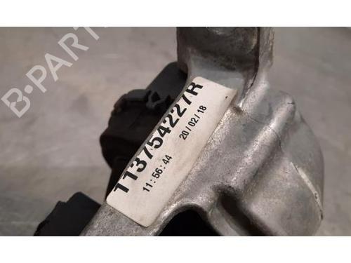 Motorophæng RENAULT MEGANE IV Hatchback (B9A/M/N_) 1.6 dCi 165 | BP23637908M89 