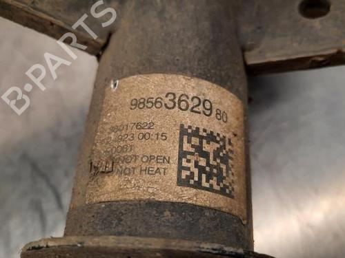 Right front shock absorber PEUGEOT 308 SW III (FC_, FJ_, FR_, F4_, FN_) BlueHDi 130 (FCYHZL, FCYHZT) | BP24533816M17 