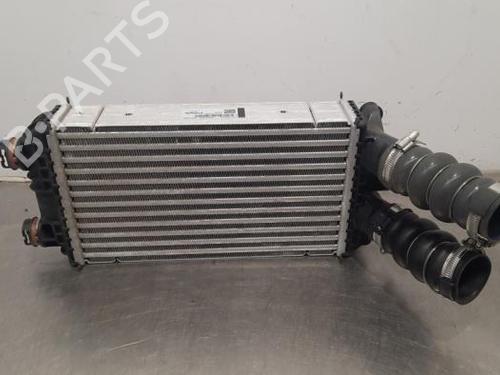 BP21673497M30 main image