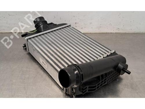 Intercooler RENAULT CAPTUR II (HF_) TCe 90 (HFM6) | BP29234124M30 