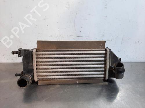 Used Intercooler FIAT PANDA (312_, 319_) 1.3 D Multijet 4x4 (312PXU1A) (95 hp) 23582312