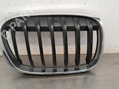 Used Grille BMW X1 (F48) sDrive 16 d (116 hp) 23603299