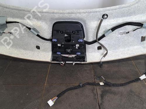 Interior roof RENAULT GRAND SCÉNIC IV (R9_) 1.2 TCe 130 | BP23603784I12 