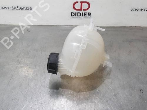 Used Expansion tank CITROËN C4 III (BA_, BB_, BC_) 1.2 PureTech 155 (BAHNNB, BAHNJD) (155 hp) 10812576