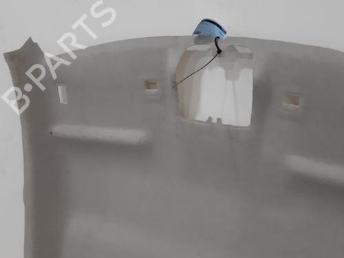 Interior roof CITROËN C3 III Van (SX_, SY_) BlueHDi 100 | BP11727890I12 