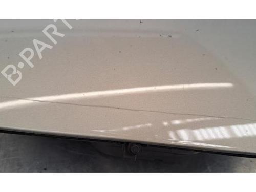 Fuel flap DS DS 3 / DS 3 CROSSBACK (UR_, UC_, UJ_) E-TENSE (UZZKXZ) | BP29045432C131 