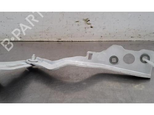 hingedoor-check-strap-renault-master-iii-van-fv-2010-36145798 main image