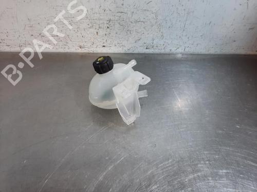 Ekpansionstank RENAULT MASTER IV Van (F8__) BLUE DCI 150 (F8M3) (150 hp) 31273613