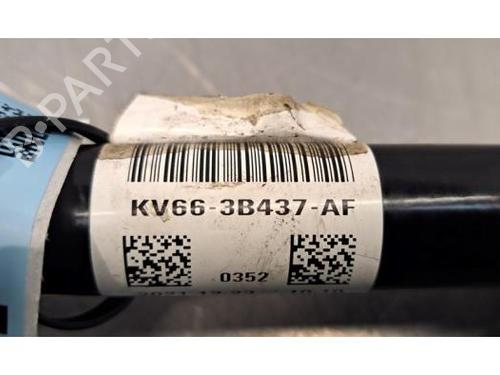 Left front driveshaft FORD TRANSIT CONNECT V408 Box Body/MPV 1.0 Flexifuel | BP33443634M38 - Image 6