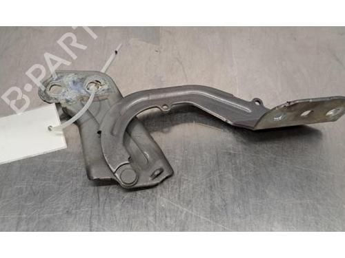Hinge/Door check strap FORD KUGA II (DM2) 2.0 TDCi 4x4 | BP29493970C146 