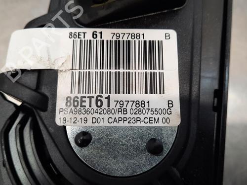 Pedal PEUGEOT 3008 II SUV (MC_, MR_, MJ_, M4_) 1.5 BlueHDi 130 | BP10898519I4 