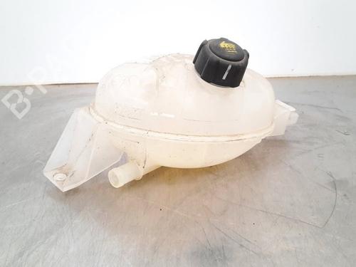 Expansion tank OPEL MOVANO B Van (X62) 2.3 CDTI RWD (FV) | BP17110925C120 