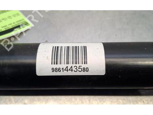 Left rear shock absorber CITROËN C3 IV (CC_, CB_) 1.2 PureTech 100 (CCHPV4) | BP31273335M18 