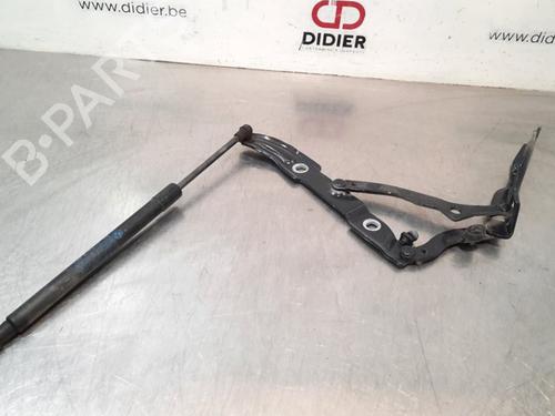 Hinge/Door check strap BMW 2 Convertible (F23) 218 d | BP17110849C146 
