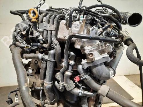 Engine SKODA SCALA (NW1) 1.6 TDI | BP39624543M1 - Image 7