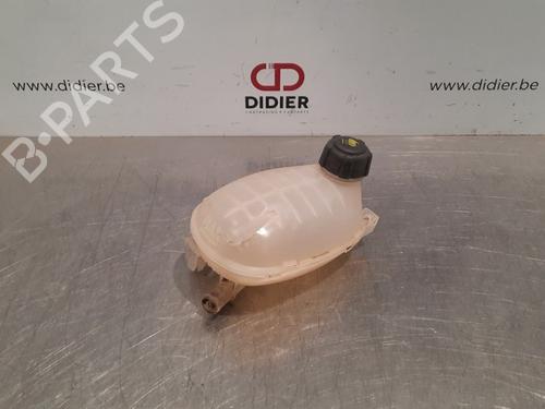 Used Expansion tank RENAULT CLIO V (B7_) 1.0 TCe 100 (B7MT) (101 hp) 10895723