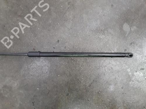 Hood lift support VW PASSAT B8 (3G2, CB2) 1.6 TDI | BP15015446C139 