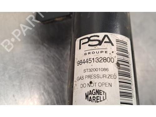 Right front shock absorber DS DS 3 / DS 3 CROSSBACK (UR_, UC_, UJ_) 1.5 BlueHDi 130 (UCYHZR) | BP30195003M17 