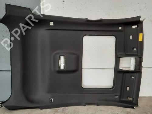 Used Interior roof BMW X6 (F16, F86) M (575 hp) 10881613