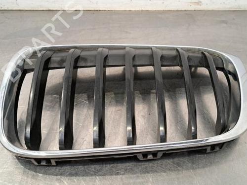 Grille BMW X1 (F48) sDrive 16 d | BP23603298C40 