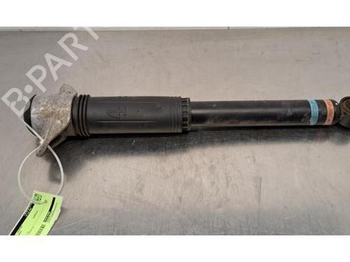 Høyre bak støtdemper TOYOTA YARIS CROSS (MXP_) 1.5 (MXPB10) | BP30824189M19