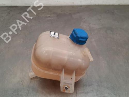 Used Expansion tank FIAT DOBLO Cargo (263_) 1.3 D Multijet (263WXU1A, 263ZXU1A, 263WYB1A, 263ZYB1A) (95 hp) 23597952