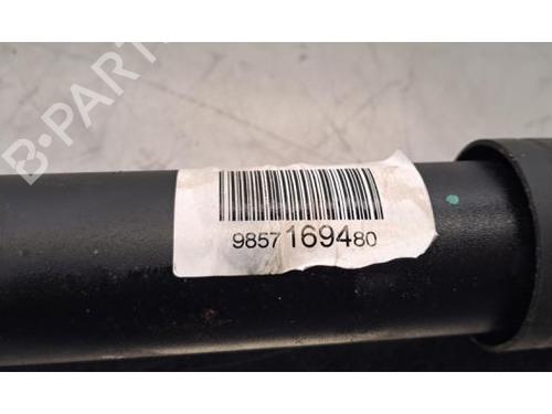 Left rear shock absorber PEUGEOT 308 III (FB_, FH_, FP_, F3_, FM_) e-308 (FMZKWZ) | BP29962548M18