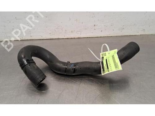Rør FORD PUMA (J2K, CF7) 1.0 EcoBoost (125 hp) 29058102