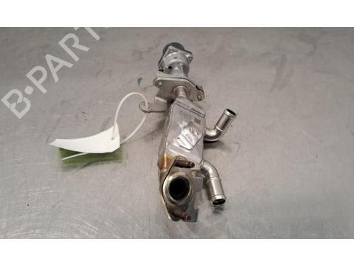 Egr RENAULT ARKANA I (LCM_, LDN_) 1.6 E-TECH 145 (LDMU) | BP29844491M69