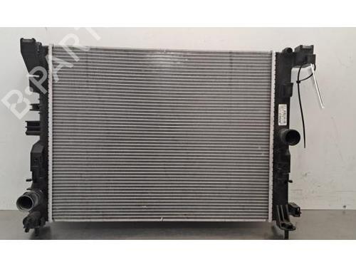 Used Water radiator Water radiator RENAULT CAPTUR II (HF_) TCe 155 (HFMN) (154 hp) 40289259 40289259