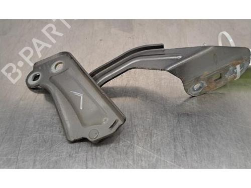 Hinge/Door check strap FORD KUGA II (DM2) 2.0 TDCi 4x4 | BP29493971C146 