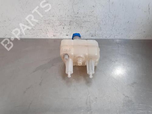 Expansion tank FIAT DUCATO Van (250_) 140 Multijet 2,2 D | BP29195253C120 