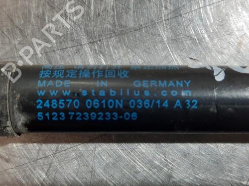 Hood lift support BMW 3 (F30, F80) 316 i | BP16264620C139 