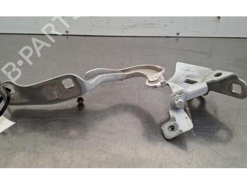 Used Hinge/Door check strap Hinge/Door check strap RENAULT TRAFIC III Van (FG_) 2.0 dCi 130 (FGMY) (131 hp) 36005005 36005005