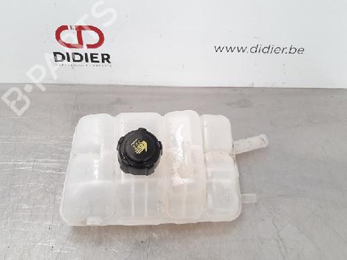 Used Expansion tank RENAULT SCÉNIC IV (J9_) 1.5 dCi 95 (95 hp) 10873696
