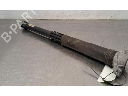 Left rear shock absorber VW GOLF VIII (CD1, DA1) 1.5 TSI 5WA512Q13AK