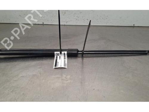 Used Tailgate lift support Tailgate lift support DS DS 4 II (FR_, FB_, F3_, FP_) PureTech 225 (FP5GGT) (224 hp) 40517770 40517770