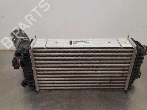 Intercooler OPEL CROSSLAND X / CROSSLAND (P17, P2QO) 1.5 Turbo D (75) | BP21673497M30 